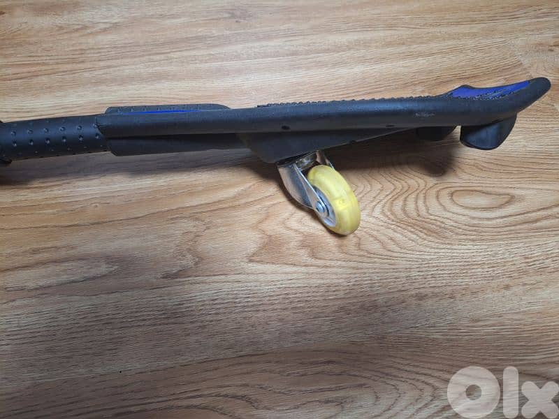 SNAKE OR RIPSTICK 1