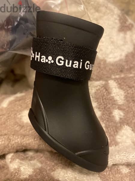 new shoes for dogs xl 1