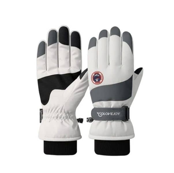 winter gloves 1