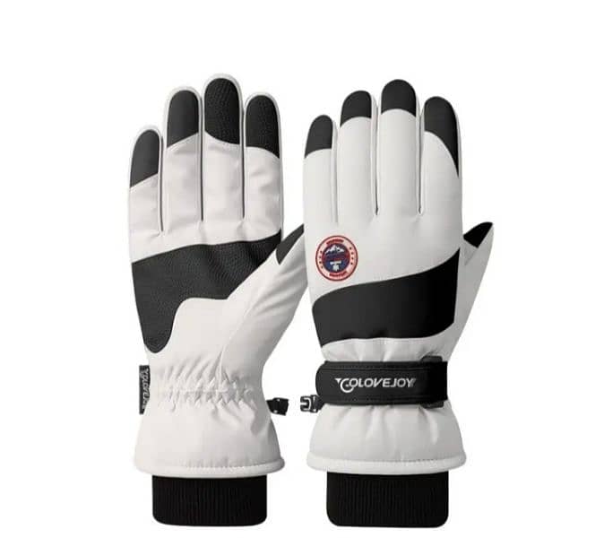 winter gloves 2