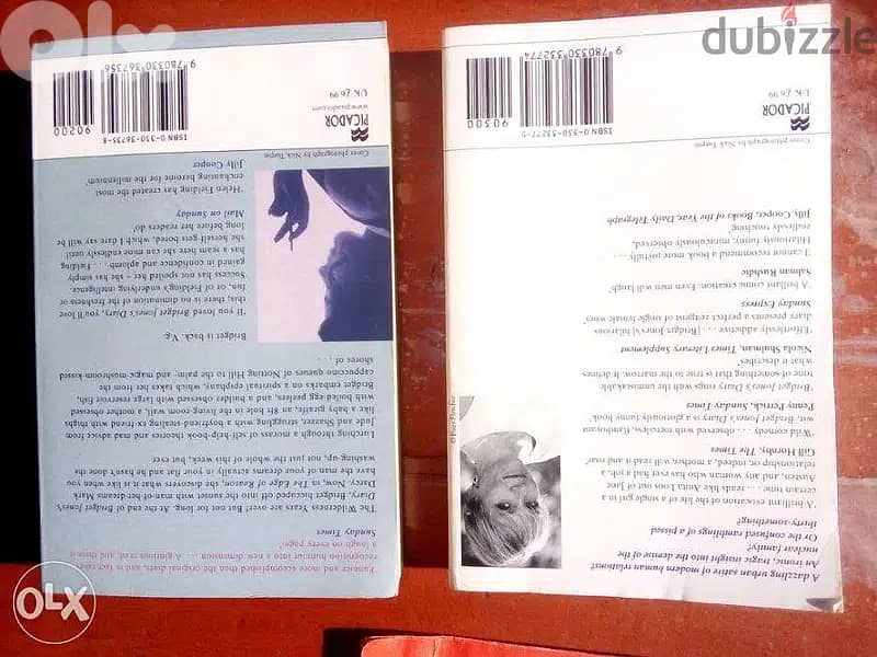 Bridget Jones diaries 2 books 1