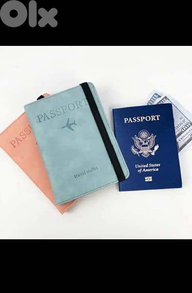 Passport Travel Wallet 2