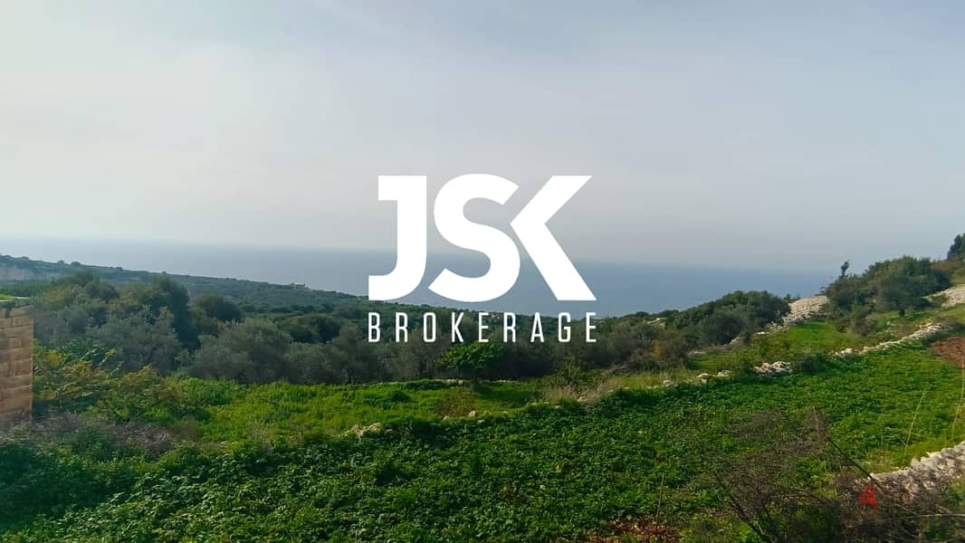 L14207-4,600 Land For Sale in Berbara 0