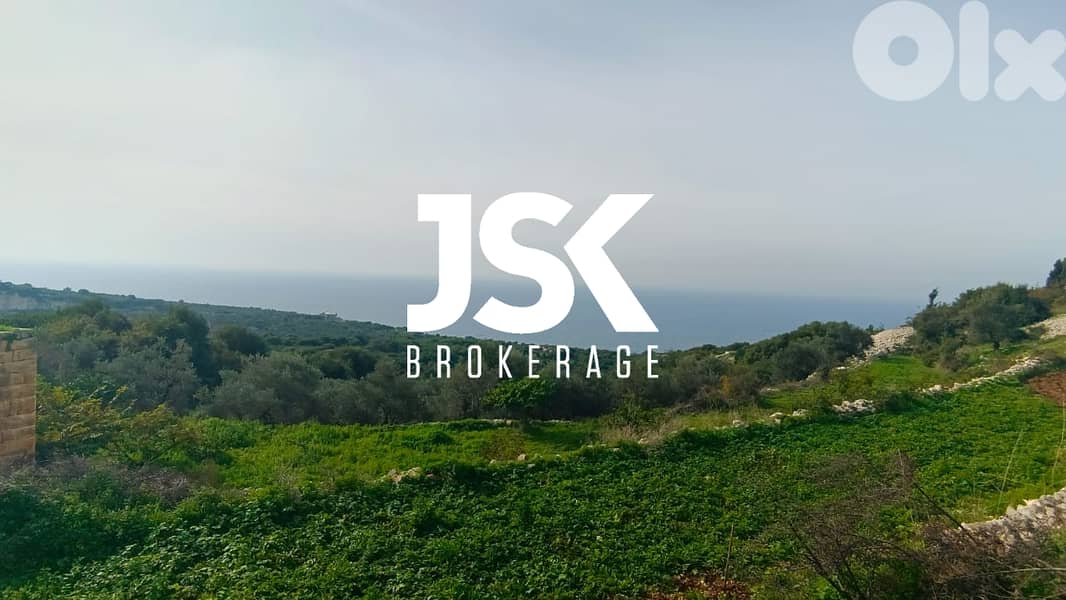 L14209-4,300 SQM Land For Sale in Berbara 0