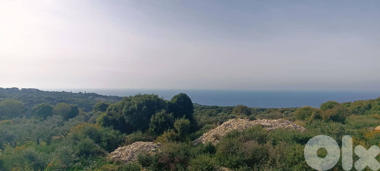 L14209-4,300 SQM Land For Sale in Berbara 1
