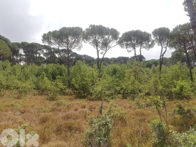 L08226-Land for Sale in Bzebdine 4