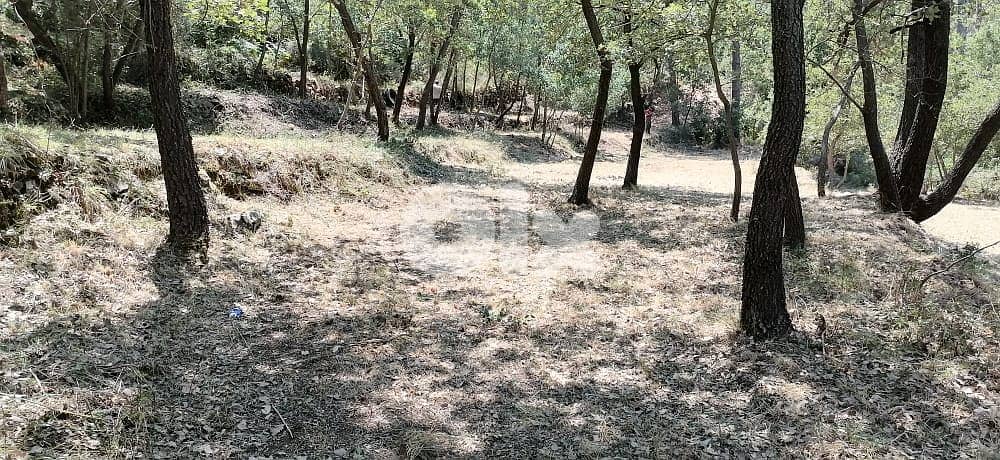 L08226-Land for Sale in Bzebdine 6