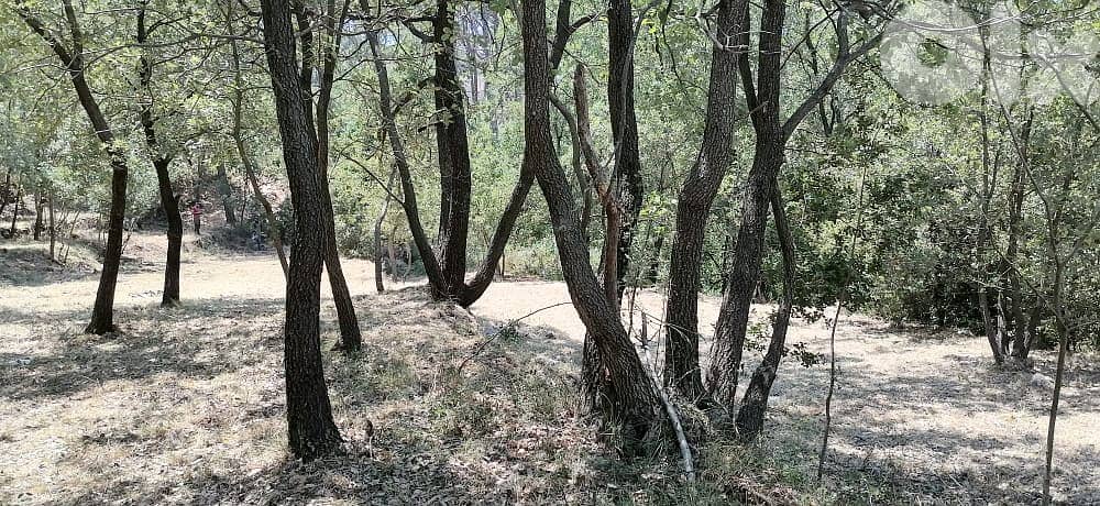 L08226-Land for Sale in Bzebdine 7