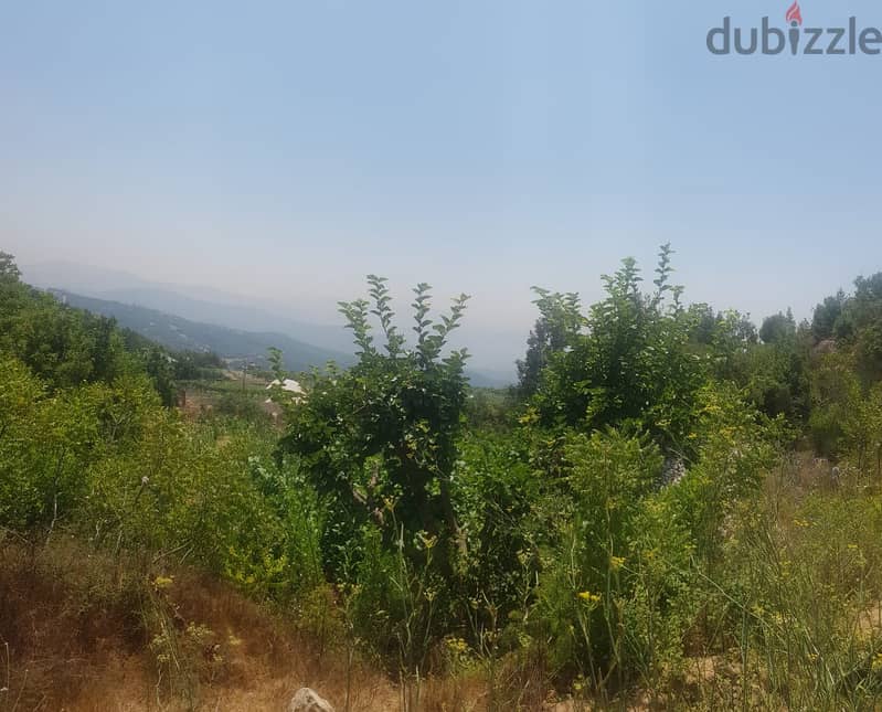 L08349-Land for Sale in Klayaat 0