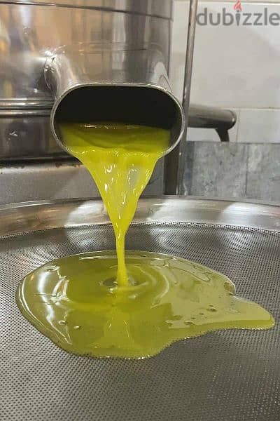 زيت زيتون اصلي ١٠٠% مش مخلوط ولا اطيب 0
