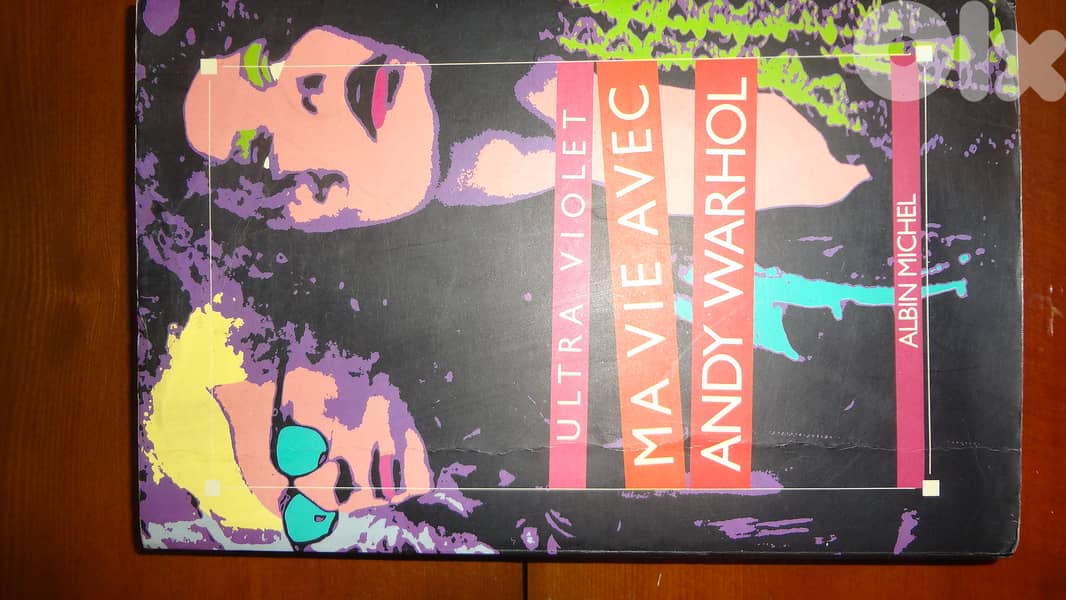 Ma vie avec Andie Warhol book 0