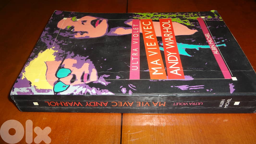 Ma vie avec Andie Warhol book 1