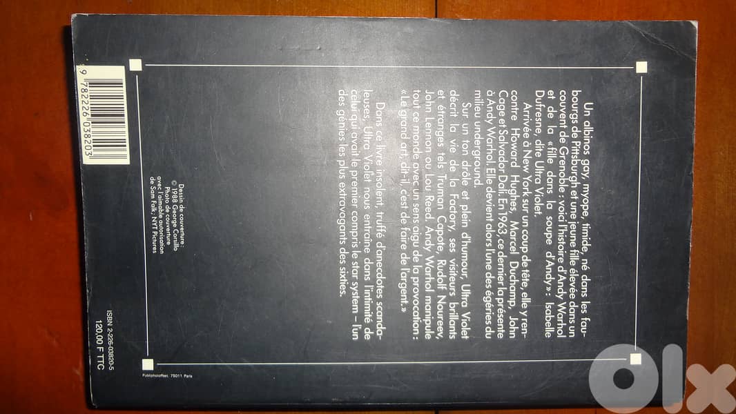 Ma vie avec Andie Warhol book 2