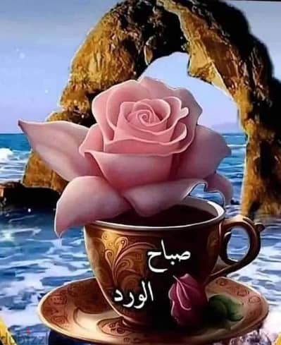 ابحث عن عمل سائق