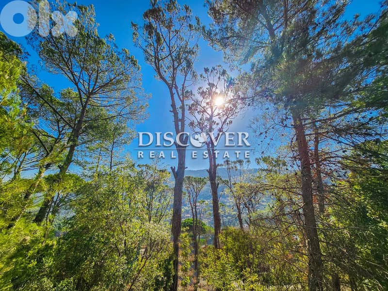 Affordable Investment |  Land for sale in Baabdat - Sfayla 1