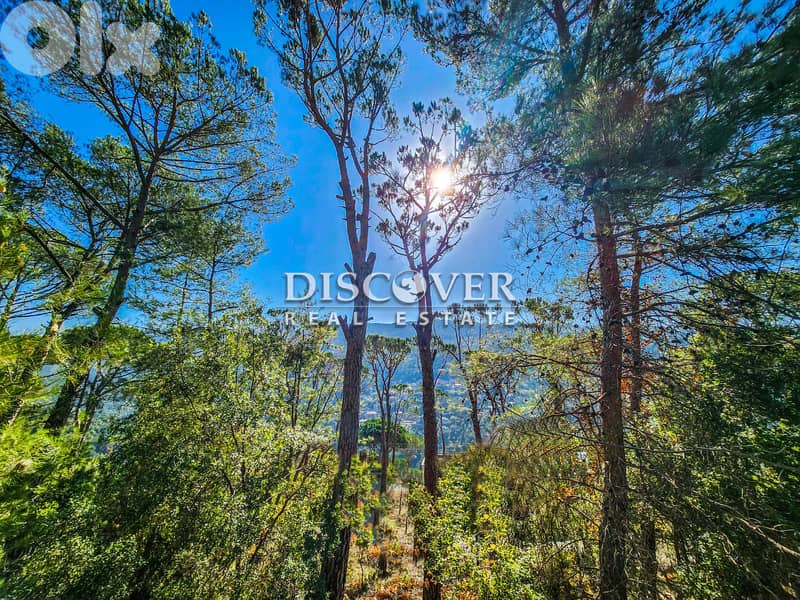 Affordable Investment |  Land for sale in Baabdat - Sfayla 2