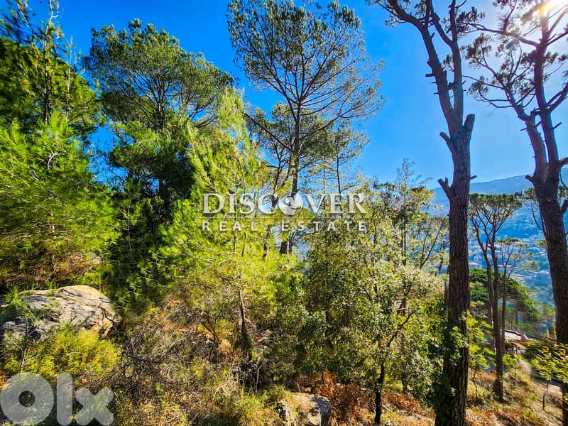 Affordable Investment |  Land for sale in Baabdat - Sfayla 3