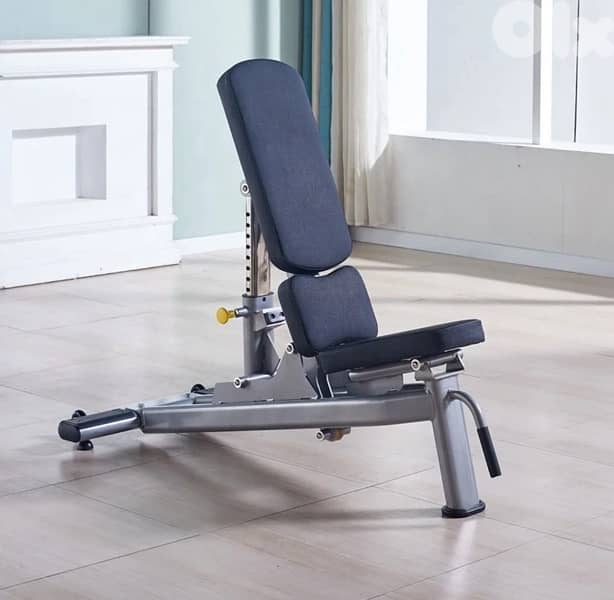 Life Fitness Gym Bench 1