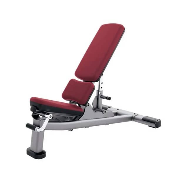 Life Fitness Gym Bench 2