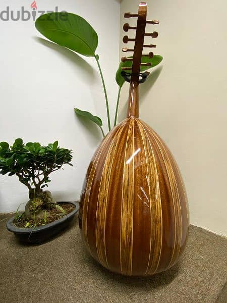 عود الصدر ارز والظهر ماهجني واقلام مايبل وخشب الزيبرا 0