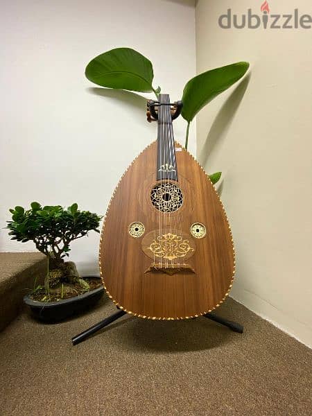 عود الصدر ارز والظهر ماهجني واقلام مايبل وخشب الزيبرا 1