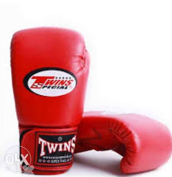 New Twins Special Boxing Gloves (Free Delivery) 1