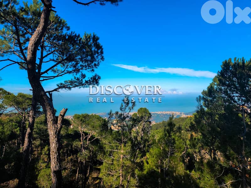 Your own peace of paradise  | Land for sale in Shalimar ( Chalimar ) 0