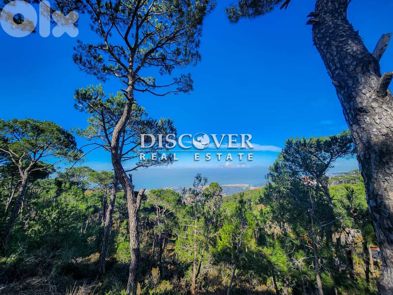 Your own peace of paradise  | Land for sale in Shalimar ( Chalimar ) 1