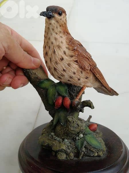 تحفة طائر السمن 0