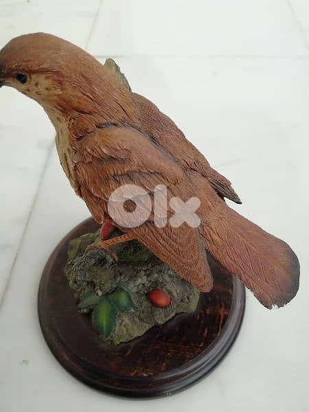 تحفة طائر السمن 1