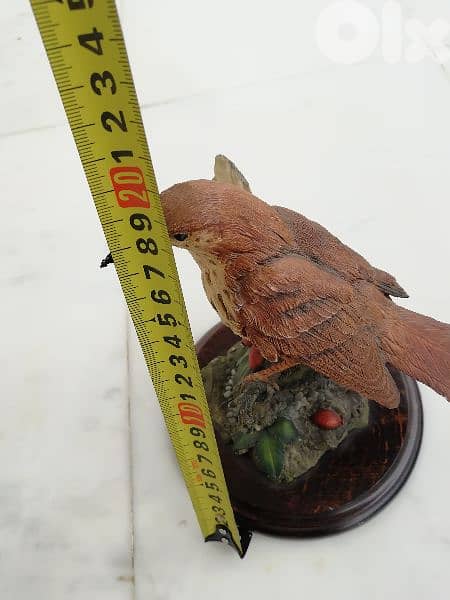 تحفة طائر السمن 2