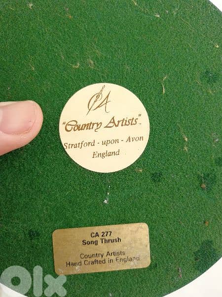 تحفة طائر السمن 3