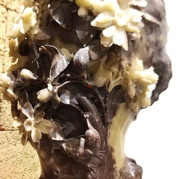 فاز روعة JADE 1