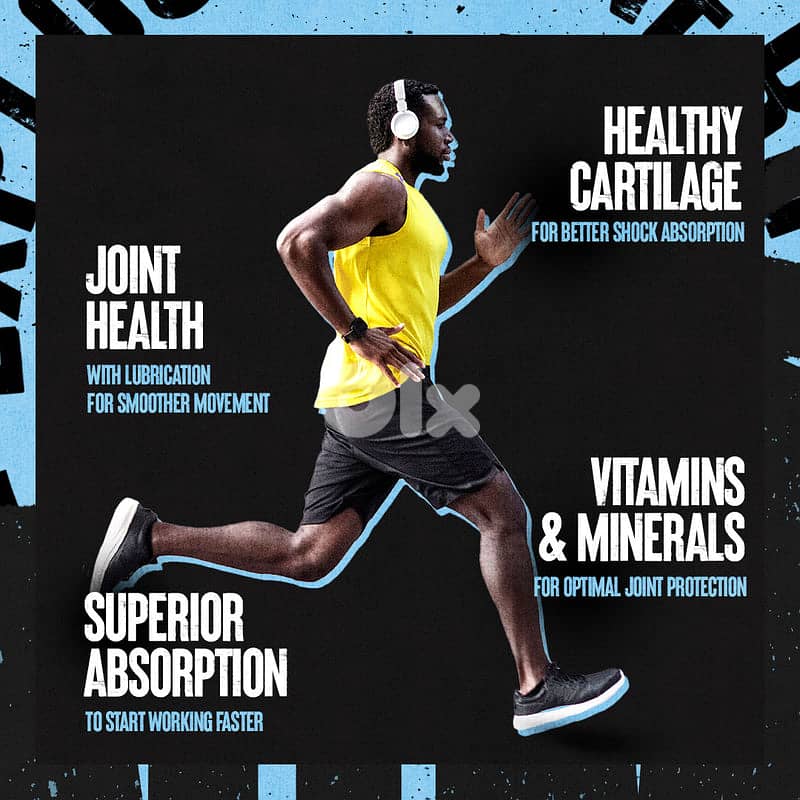 Animal FLEX by Universal Nutrition (44 Packs) 1