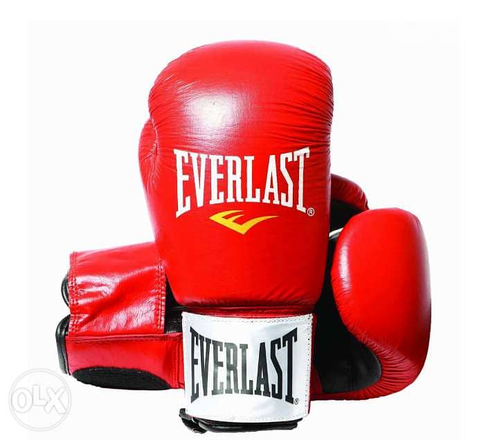 New Everlast Boxing Gloves (Free Delivery) 2