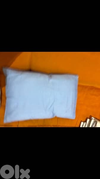 parc CAM + Reva mattress + protection cover gift 10