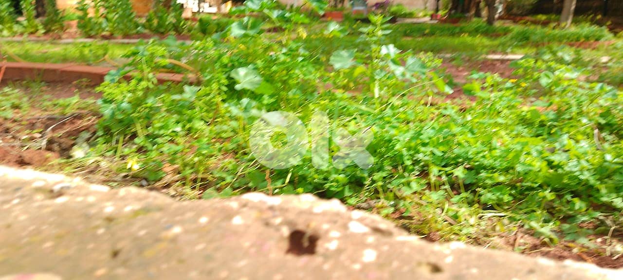Land for sale in mansourieh ارض للبيع في المنصورية 2