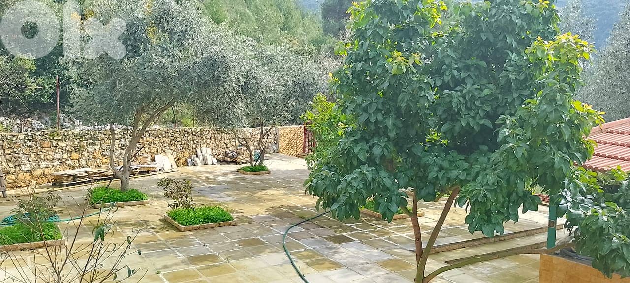 Land for sale in mansourieh ارض للبيع في المنصورية 11