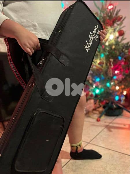 Washburn Rover Guitar 2