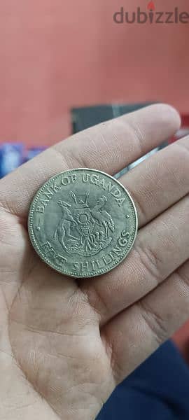 عملات قديمة1881 9