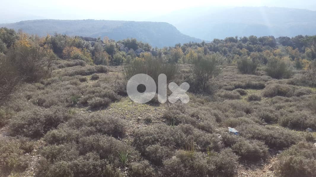 Very calm area land in Mtein / Aintoura  | Panoramic mountain view 2