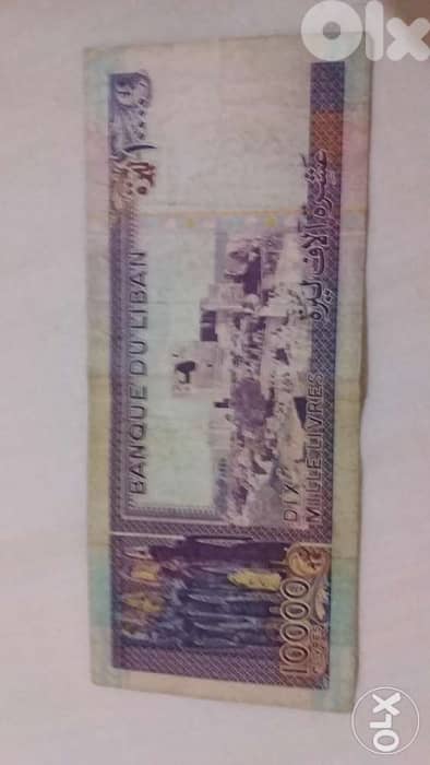 Ten Thousand Long Violet BDL year 1993 1