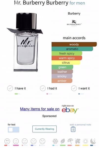 Mr Burberry 100% Original Made in France 150 ml Men perfume 2
