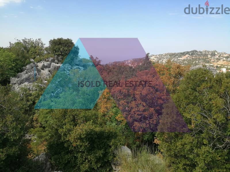 12000m2 land+open view for sale in Faytroun/Keserwan-فيترون / كسروان 1
