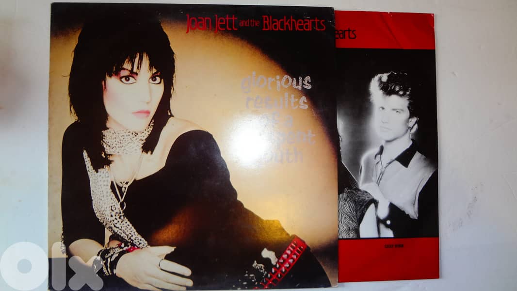 Joan Jett and the Blackhearts "Glorious Results Of A Misspent Youth" 0