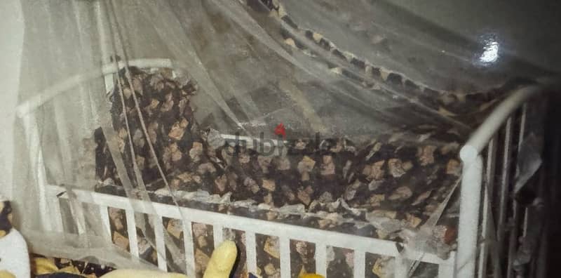 medical bed white color for baby up to the age of 6 1