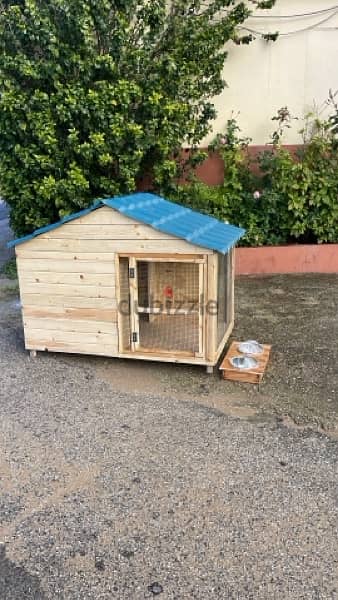 Special Dog Houses بيوت كلاب مميزه 2