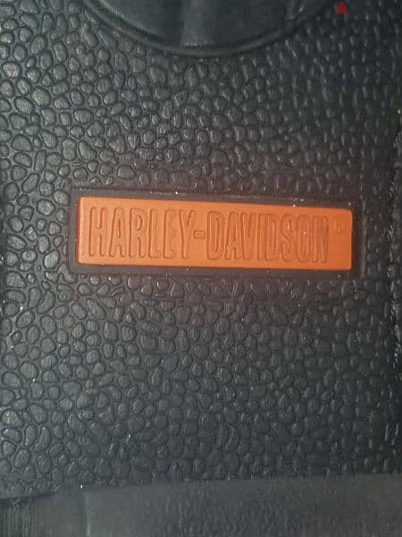harily divison 5
