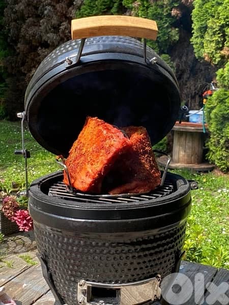 mini kamado bbq 4