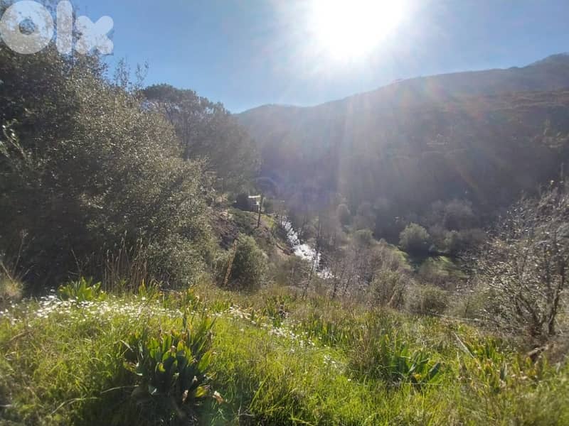 Land For Sale in Chamisseh -  للبيع أرض في الشميسة Exclusive 3000 Sqm 2